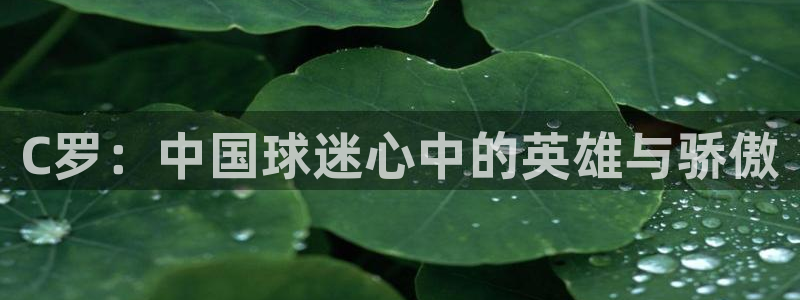 欧洲世预赛赛程表：C罗：中国球迷心中的英雄与骄傲