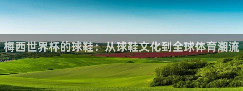 世界杯欧洲区预选赛：梅西世界杯的球鞋：从球鞋文化到全球体育潮流