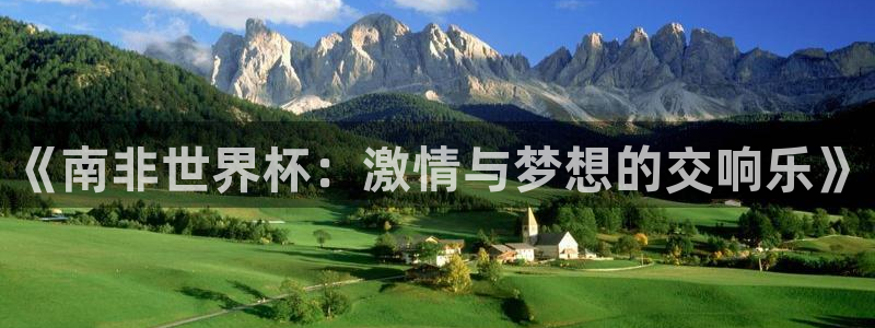 世界杯系列赛：《南非世界杯：激情与梦想的交响乐》