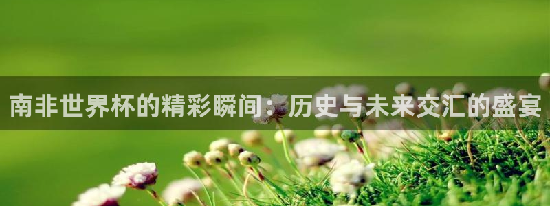 2026世界杯欧洲预选赛赛程表：南非世界杯的精彩瞬间：历史与未来交汇的盛宴