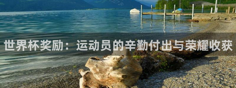 世界杯直播网站：世界杯奖励：运动员的辛勤付出与荣耀收获