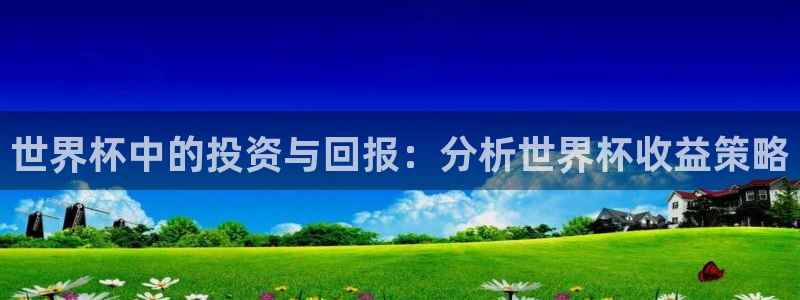 世界杯比赛赛程：世界杯中的投资与回报：分析世界杯收益策略