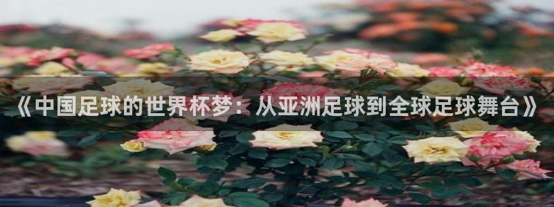 2006年世界杯：《中国足球的世界杯梦：从亚洲足球到全球足球舞台》