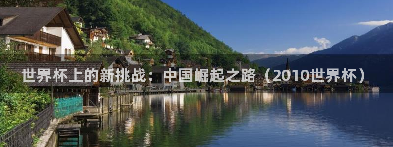 世界杯2026预选赛：世界杯上的新挑战：中国崛起之路（2010世界杯）
