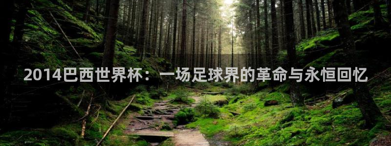 2026世界杯亚洲区预选赛：2014巴西世界杯：一场足球界的革命与永恒回忆