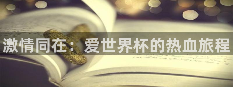 世界杯球队：激情同在：爱世界杯的热血旅程