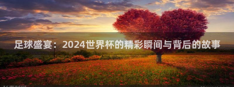 世界杯亚洲预选赛18强赛程：足球盛宴：2024世界杯的精彩瞬间与背后的故事