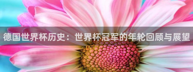 2026 世界杯：德国世界杯历史：世界杯冠军的年轮回顾与展望